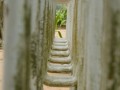 Tn dsc 9555